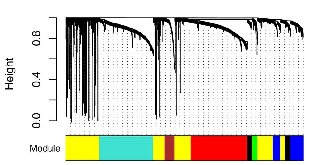 Open access visualization of Clustered, Heatmap, Bar Plot, Hierarchical Cluster Tree, Gene Co-Expression Modules