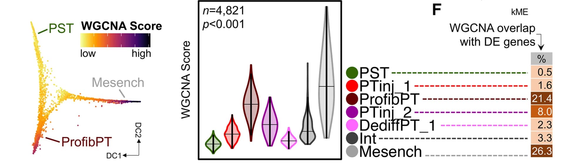Open access visualization of Scatter Plot, Violin Plot, Bar Plot, Composite sGC Co-Expression Score, Weighted Gene Correlation Network Analysis
