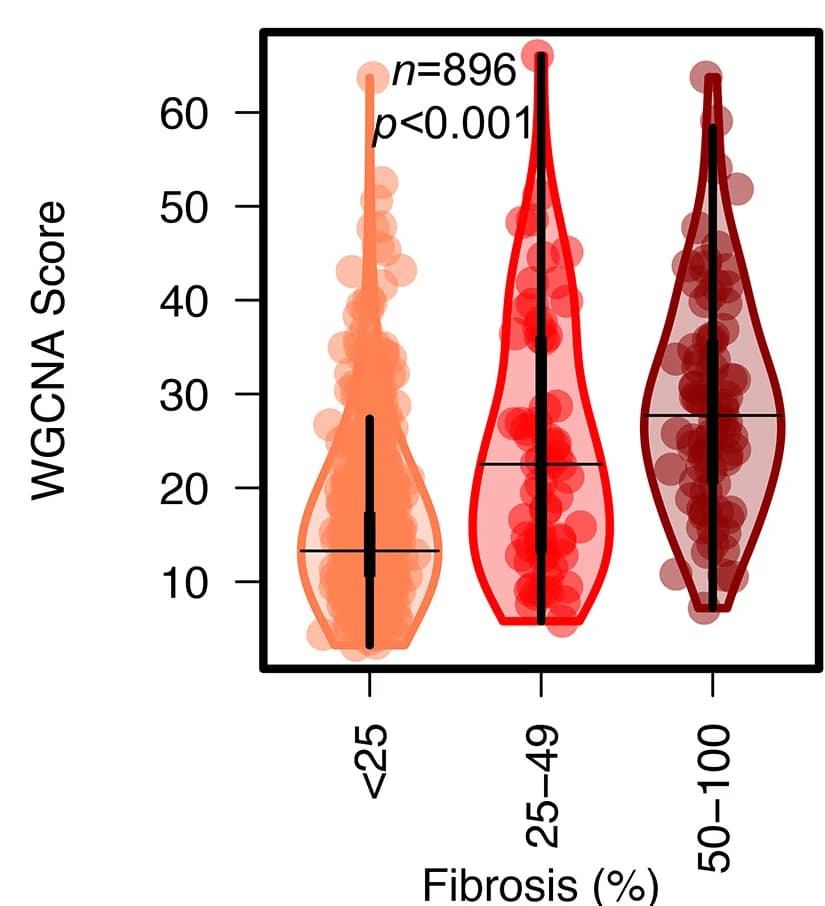 Open access visualization of Violin Plot, Box Plot, Scatter Plot, Weighted Gene Correlation Network Analysis, Human Kidney Tubules