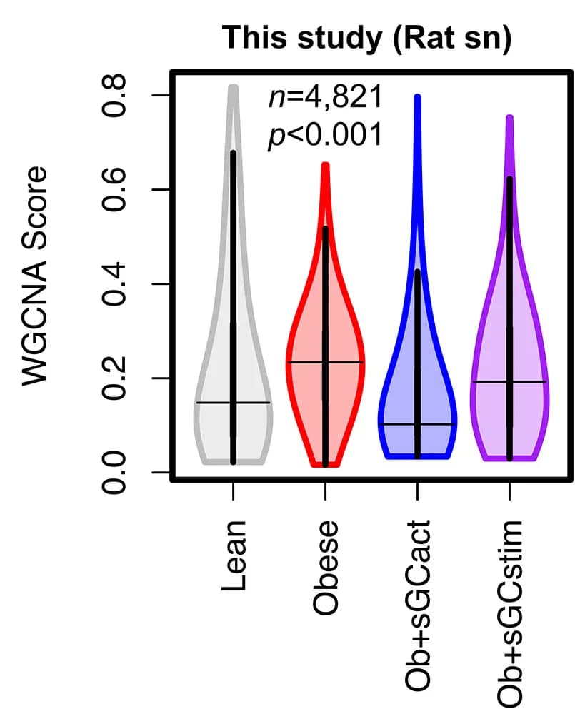 Open access visualization of Violin Plot, Weighted Gene Correlation Network Analysis, Human Kidney RNA-seq, Disease Severity, ZSF1 Rat Kidney Cells