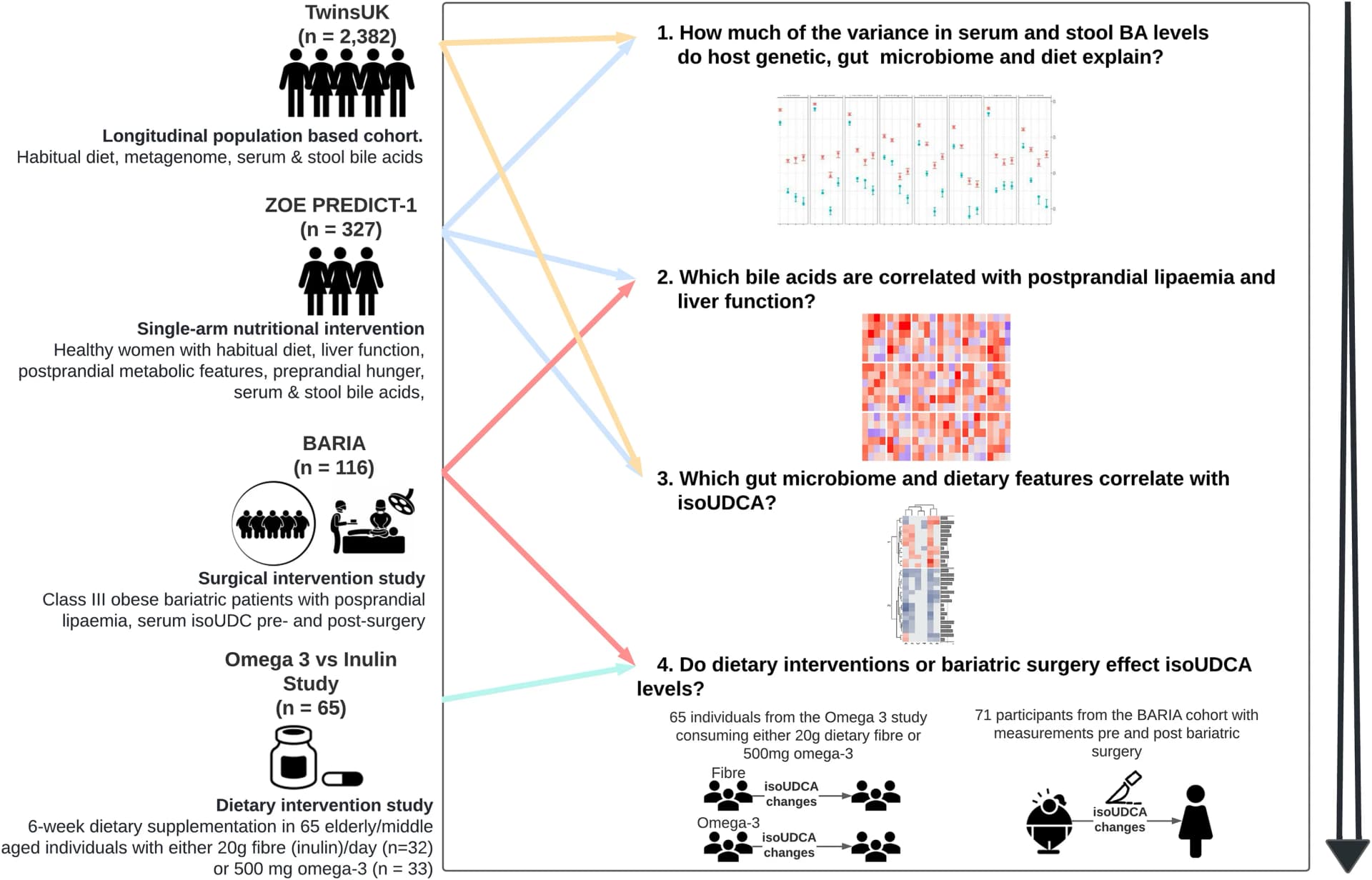 Open access visualization of Workflow, Heatmap, Line Plot, Error Bars, Illustration