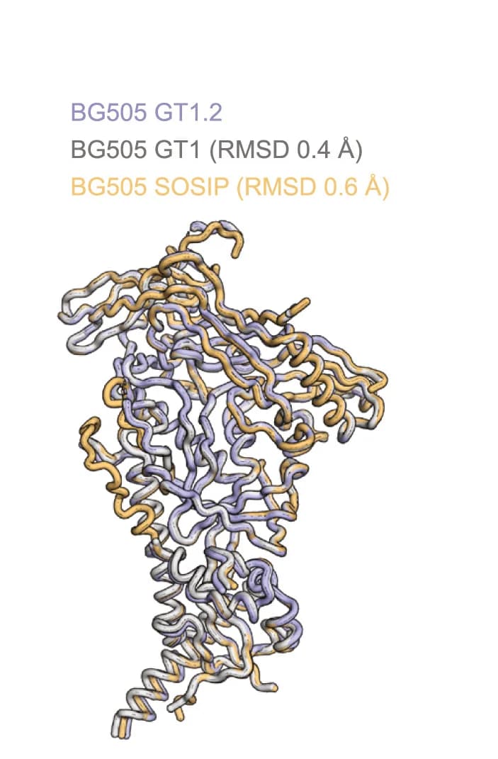 Open access visualization of Protein Structure, GT1.2, BG505 SOSIP.664, GT1, Superimposition