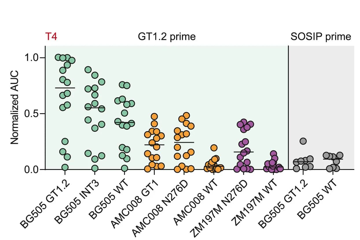 Open access visualization of Scatter Plot, AUC, Serum Antibody, Env, ELISA