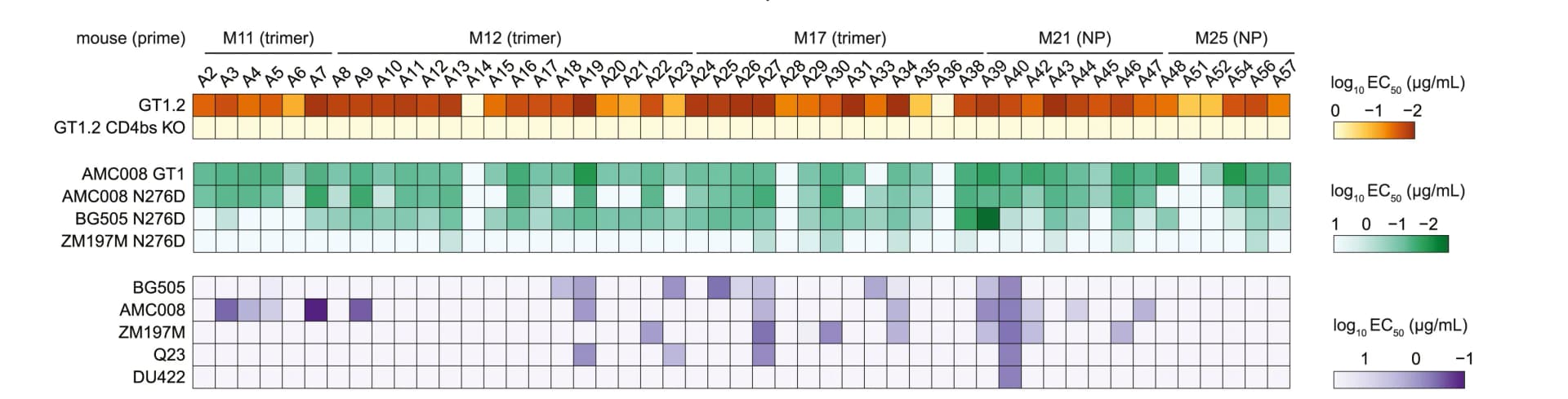 Open access visualization of Heatmap, Midpoint Binding Titers, EC50, Monoclonal Antibodies, Concentration