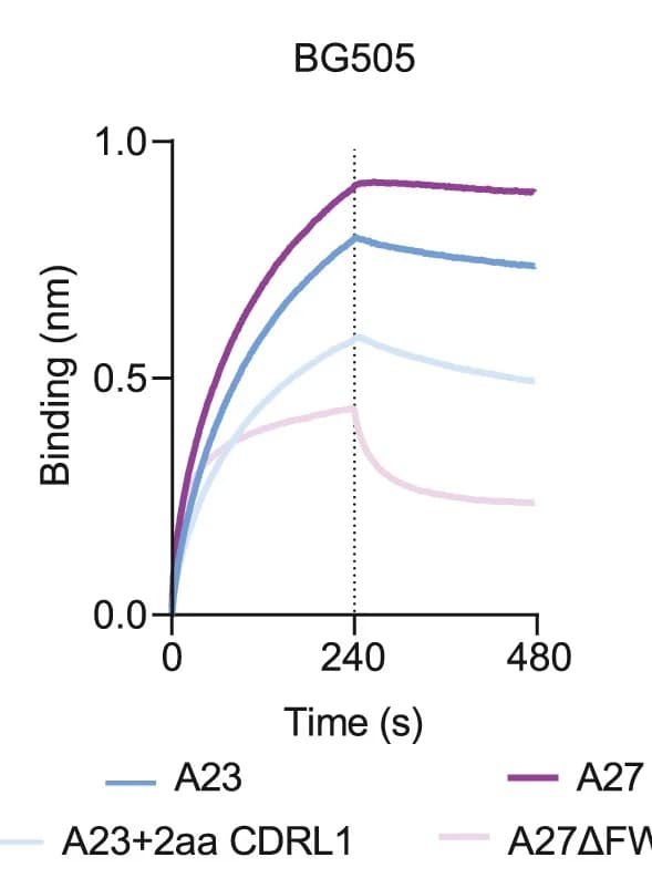 Open access visualization of Line Plot, Bio-Layer Interferometry, Sensorgrams, Binding, Indel