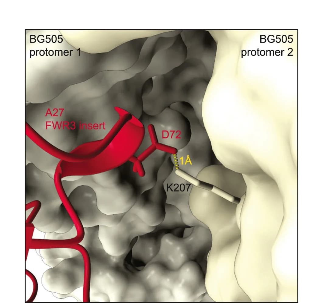 Open access visualization of Protein Structure, Chemical Structure, Residue, Insertion