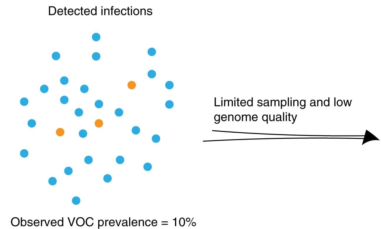 Open access visualization of Scatter Plot, VOC, Prevalence, Detected Infections