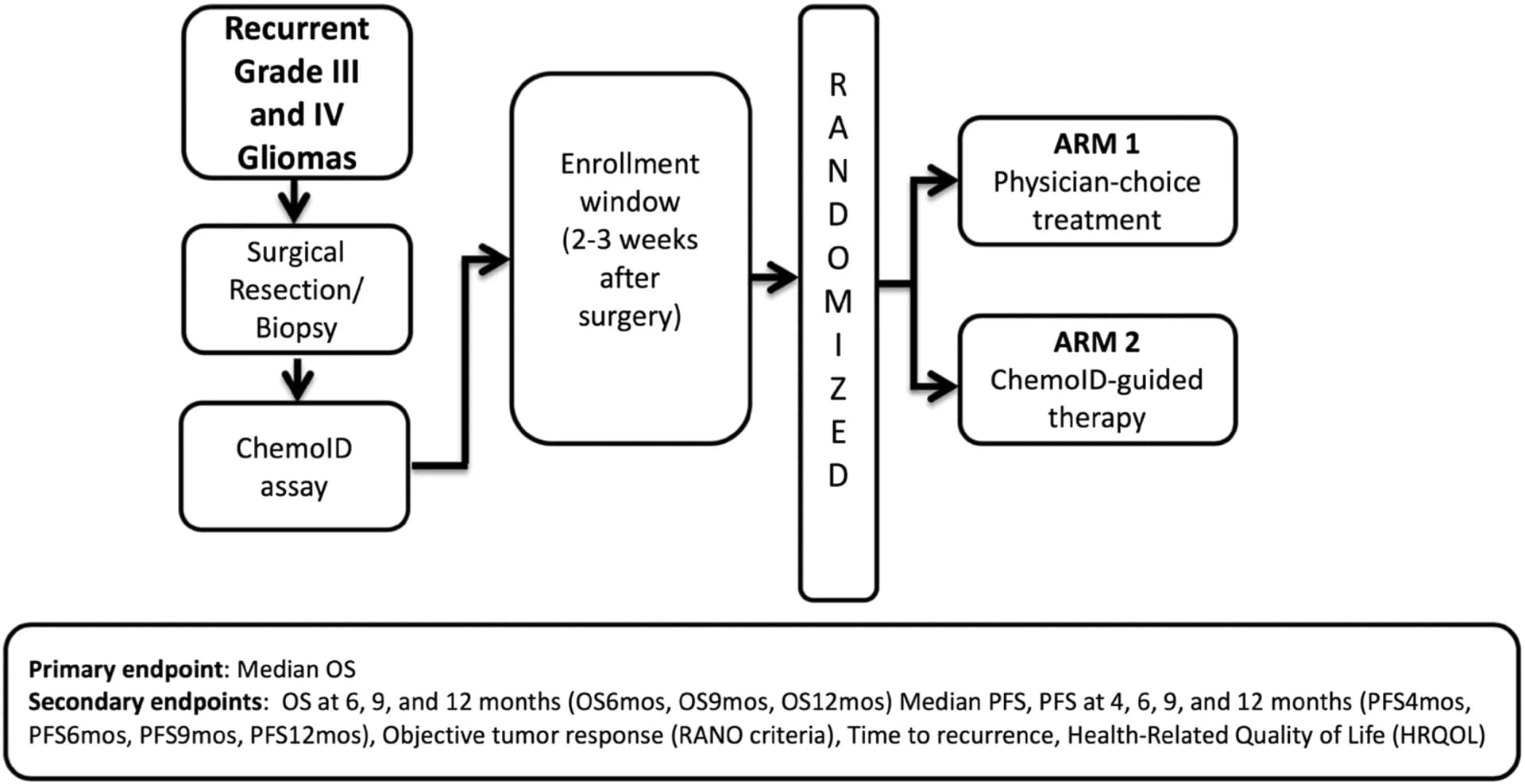 Open access visualization of Workflow, Flowchart, Randomized Clinical Trial, rGBM, Chemotherapy