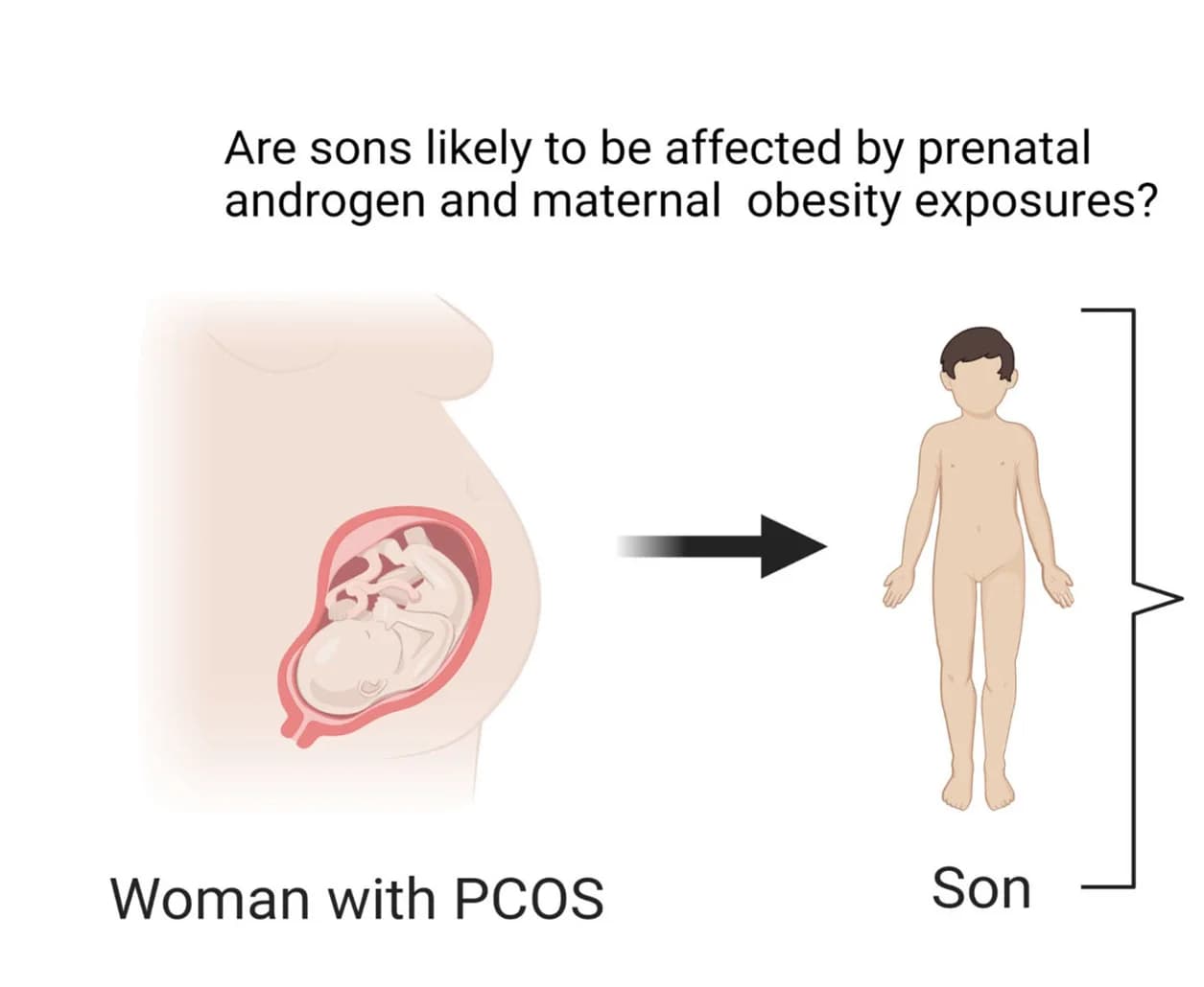 Open access visualization of Illustration, Obesity, Childhood, Polycystic Ovary Syndrome, Hazard Ratios