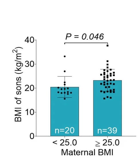 Open access visualization of Bar Plot, Error Bars, Scatter Plot, BMI, Sons