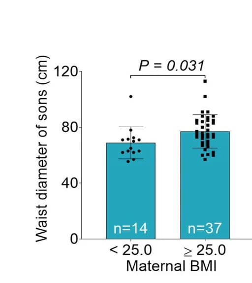 Open access visualization of Bar Plot, Error Bars, Waist Circumference, Sons, Polycystic Ovary Syndrome