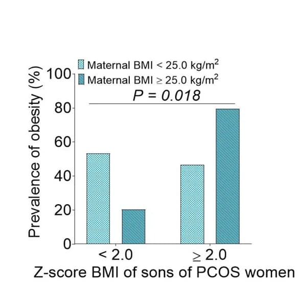 Open access visualization of Bar Plot, Clustered, Prevalence, Obesity, Sons