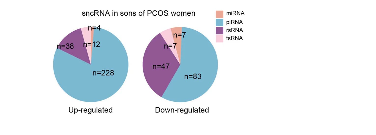 Open access visualization of Pie Chart, Differently Expressed sncRNAs, Biotype, Whole Blood, Sons