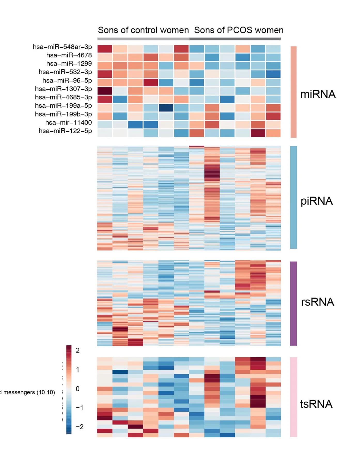 Open access visualization of Heatmap, DEsncRNA, Whole Blood, Sons, Polycystic Ovary Syndrome