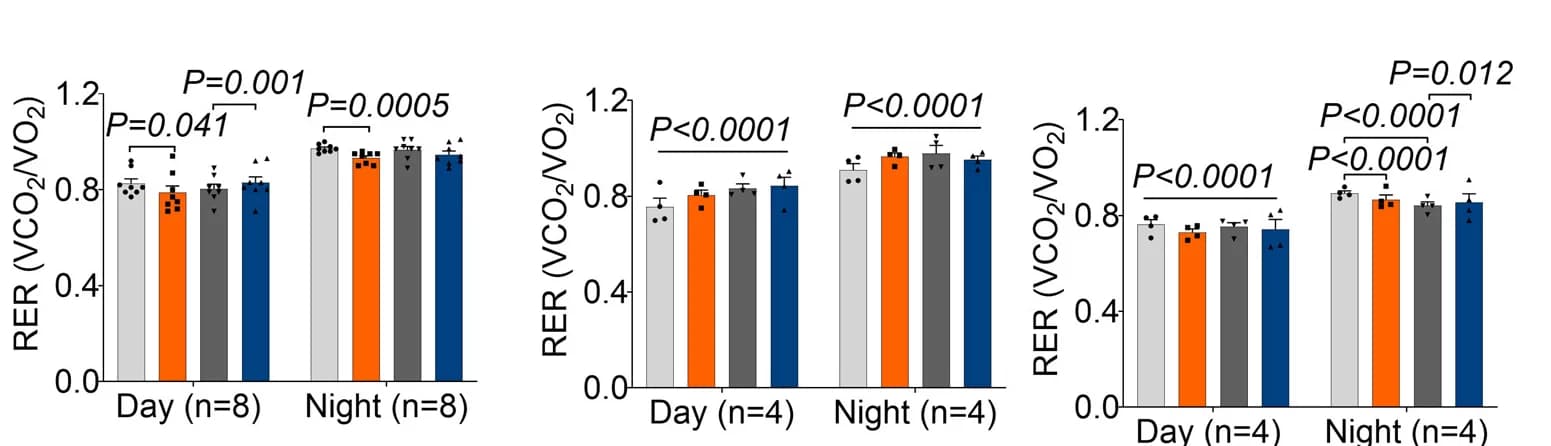 Open access visualization of Bar Plot, Error Bars, Respiratory Exchange Ratio, Energy Expenditure, Indirect Calorimetry