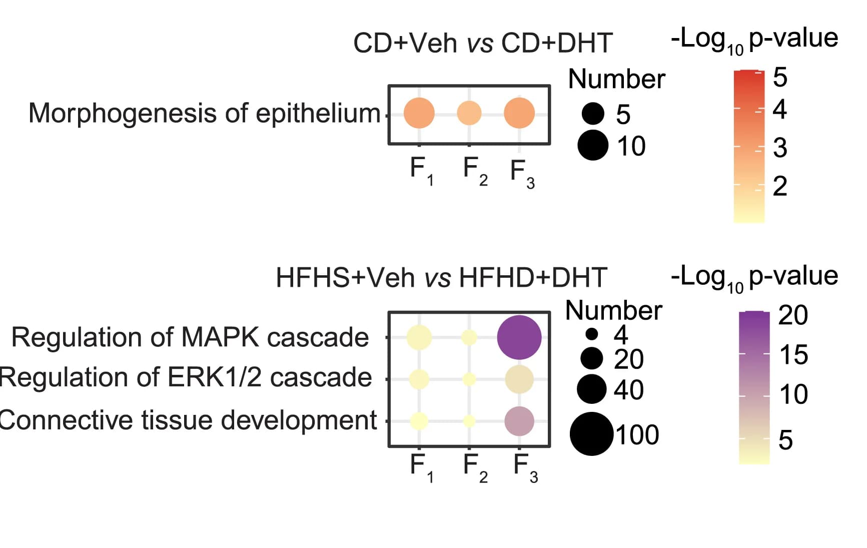 Open access visualization of Bubble Plot, GO Enrichment, DEmiRNA, Target Genes, Androgenized Lineages