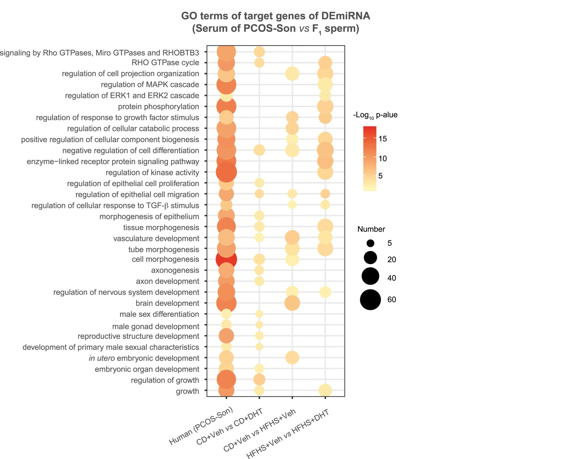 Open access visualization of Bubble Plot, GO enrichment, Target genes, Overlapped DEsncRNAs, Mouse Sperm