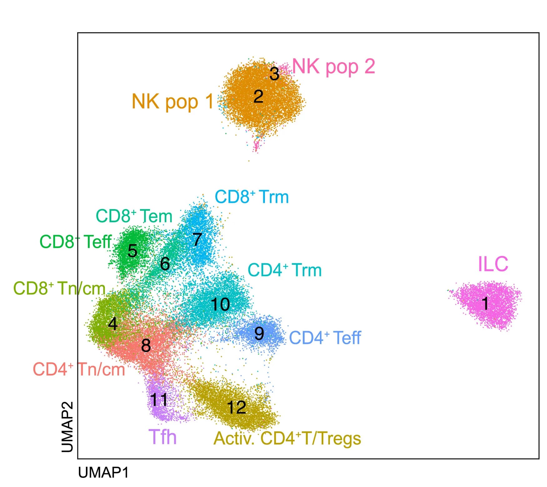 Open access visualization of UMAP, Scatter Plot, scRNA-seq, ILCs, NK Cells