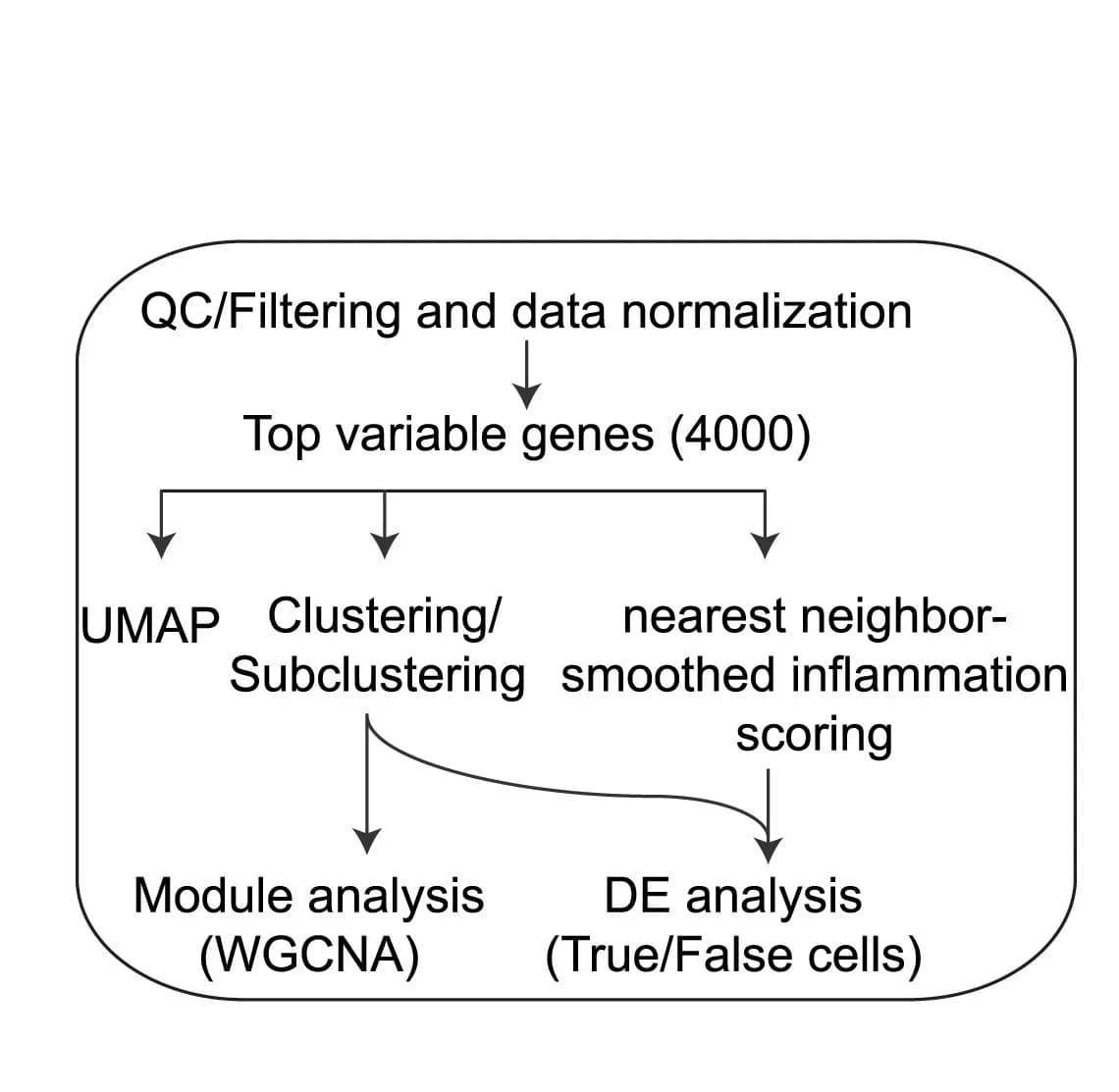 Open access visualization of Workflow, Flowchart, scRNA-seq data, Gene module, Nearest-neighbor analysis