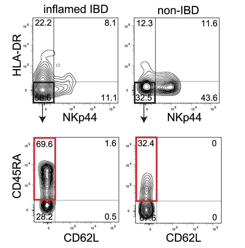 Open access visualization of Scatter Plot, Flow Cytometry, CD45RA, CD62L, NKp44−HLA-DR−ILCs