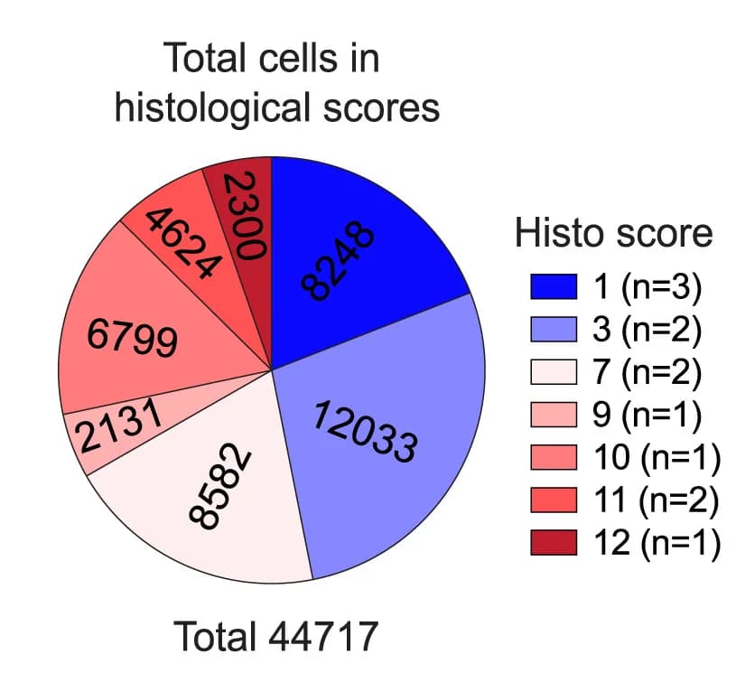 Open access visualization of Pie Chart, Histological scores, pIBD colon biopsy