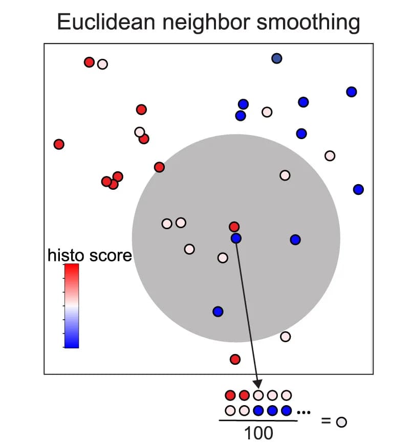 Open access visualization of Scatter Plot, Euclidean neighbor smoothing, Cell, Histological scores