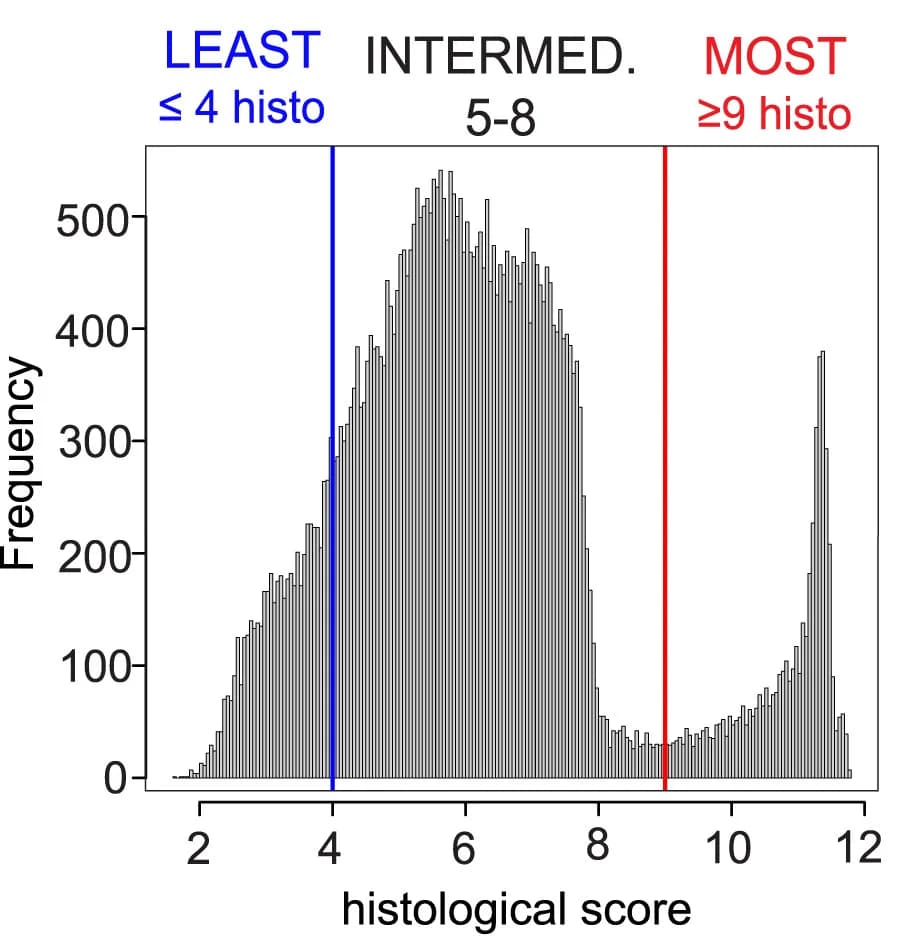 Open access visualization of Histogram, Cell type distribution, Histological scores, Inflammation