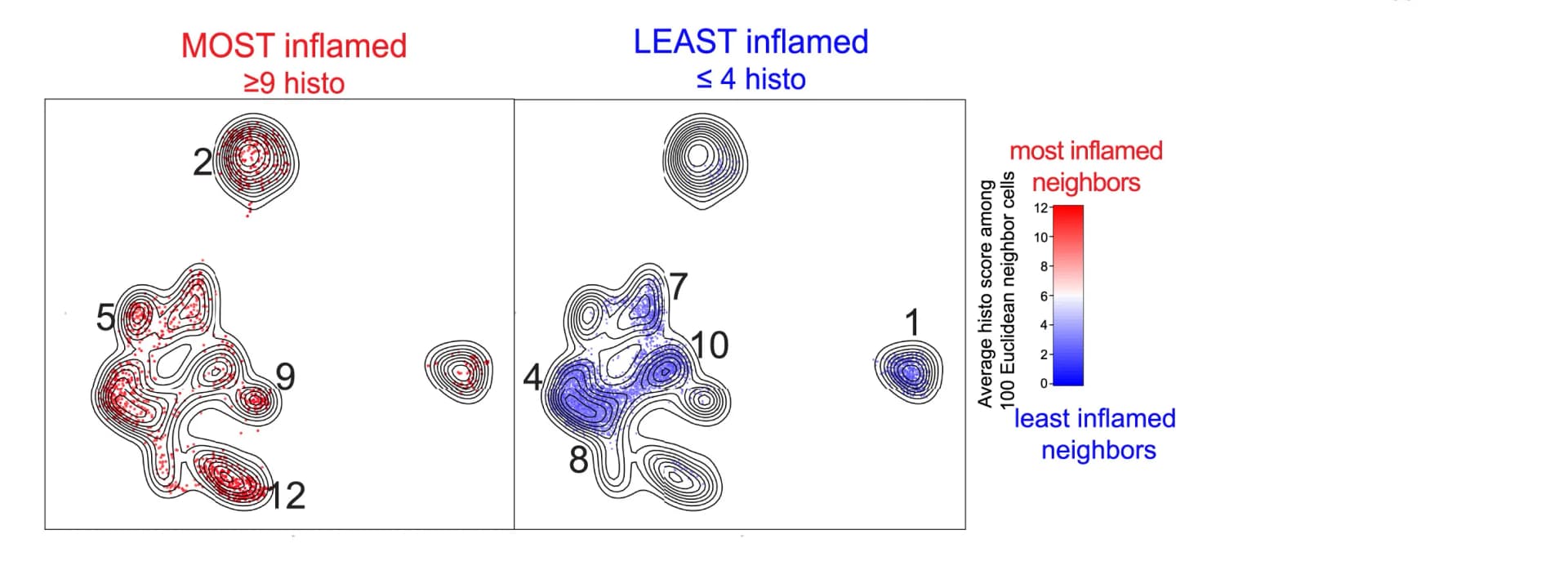 Open access visualization of Density Plot, Scatter Plot, Nearest-neighbor smoothing, UMAP, Histological score