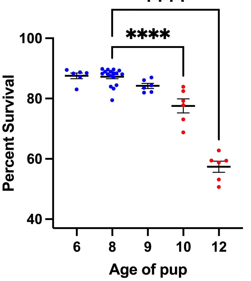 Open access visualization of Scatter Plot, Error Bars, Pup Age, OBSC Viability, One-Way ANOVA