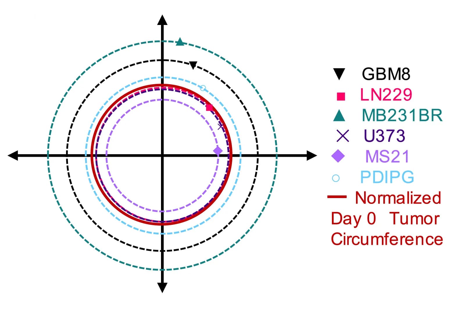 Open access visualization of Line Plot, Migratory Behavior, Tumor Engraftment, OBSCs, Tumor Circumference