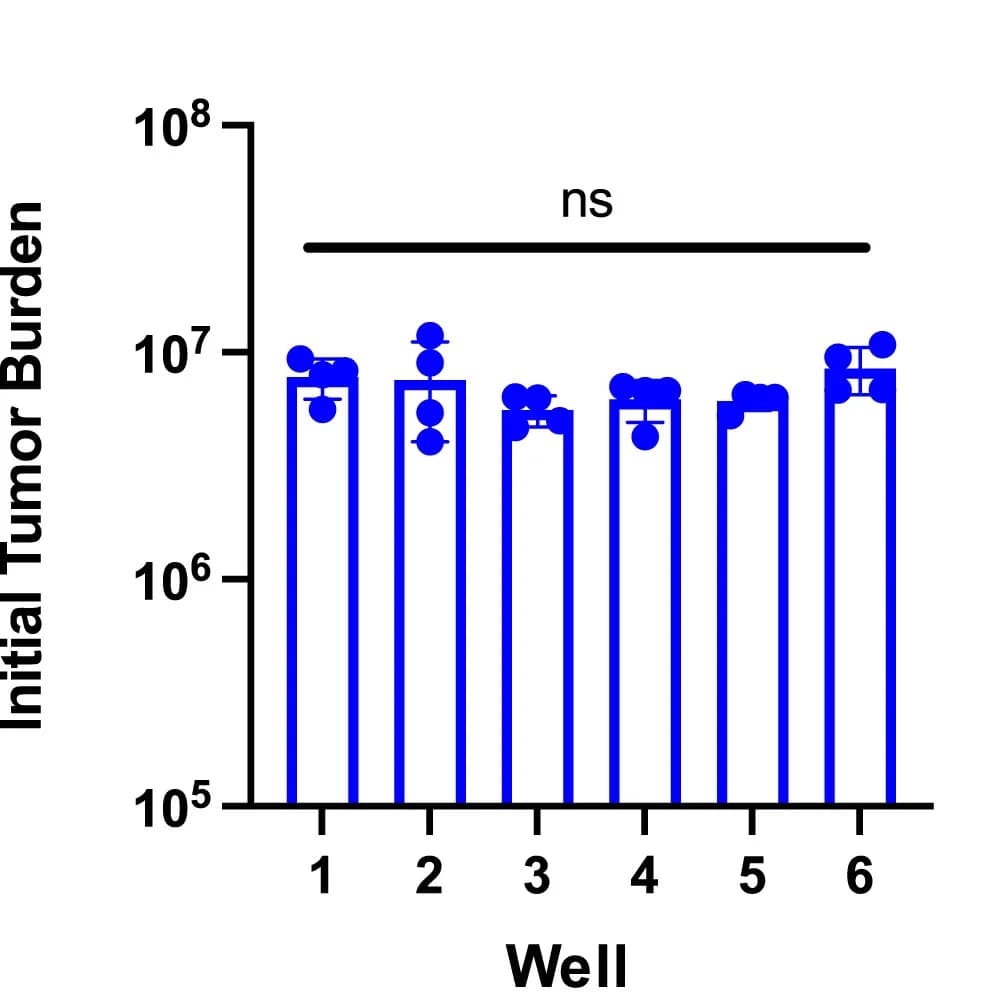 Open access visualization of Bar Plot, Scatter Plot, Tumor Seeding, Fluorescence, OBSCs