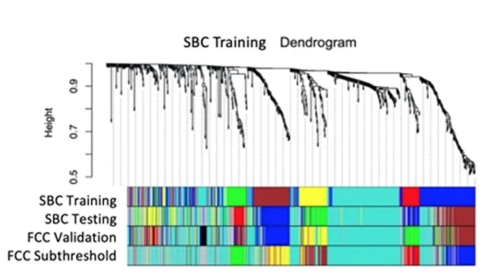 Open access visualization of Clustered, Protein Co-expression Modules, PTSD, Weighted Gene Co-expression Network Analysis, Hierarchical Clustering Tree