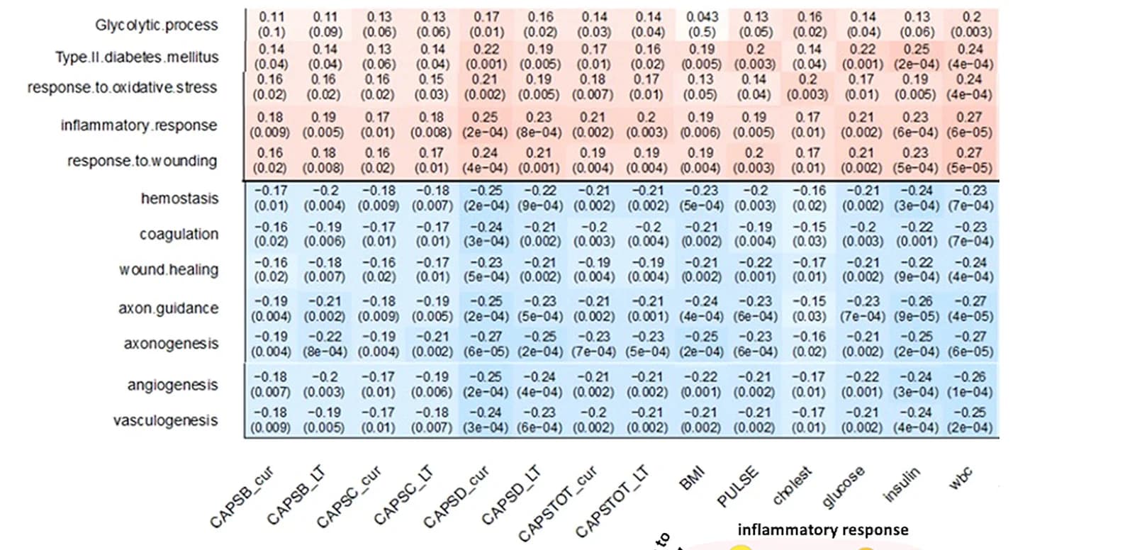 Open access visualization of Heatmap, Biological Processes, Pathways, Hypergeometric Enrichment Filter, Pathway Activation Analyses