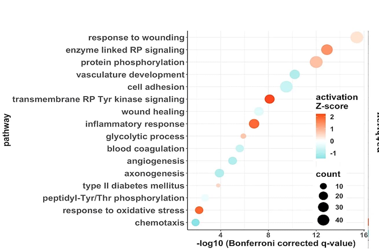 Open access visualization of Bubble Plot, Pathway, Biological Process, Differentially Altered Proteins, PTSD