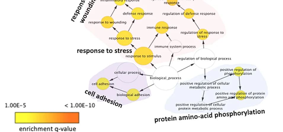 Open access visualization of Pathway, Pathways, Biological Processes, Methylation-Protein Consensus Modules, Receptor Protein