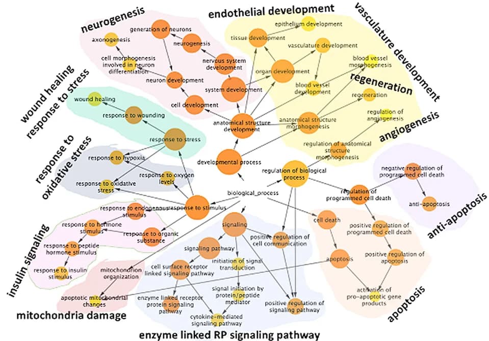 Open access visualization of Pathway, Pathways, Biological Processes, Methylation-Protein Consensus Modules, Receptor Protein