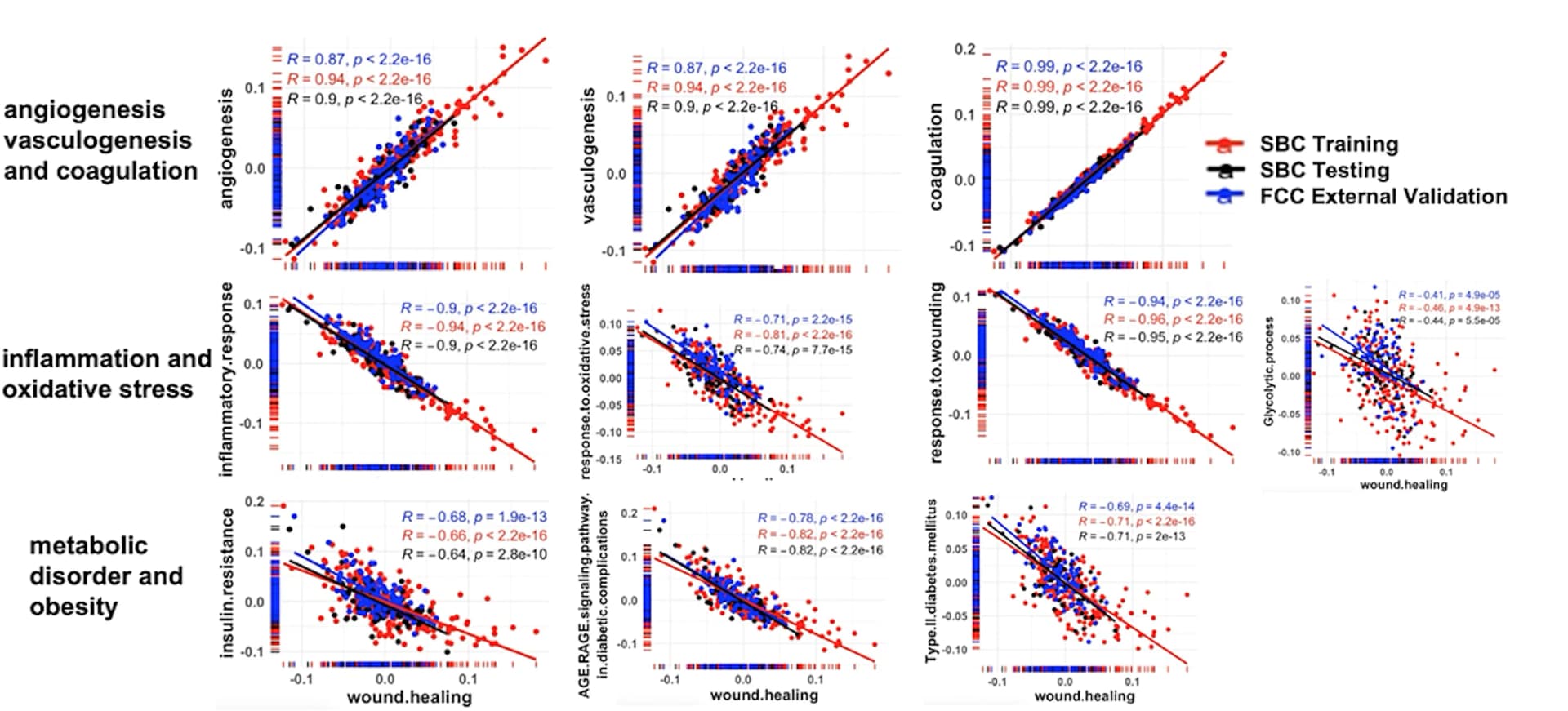 Open access visualization of Scatter Plot, Regression Plot, Pathways, Wound Healing, SBC Training Cohort