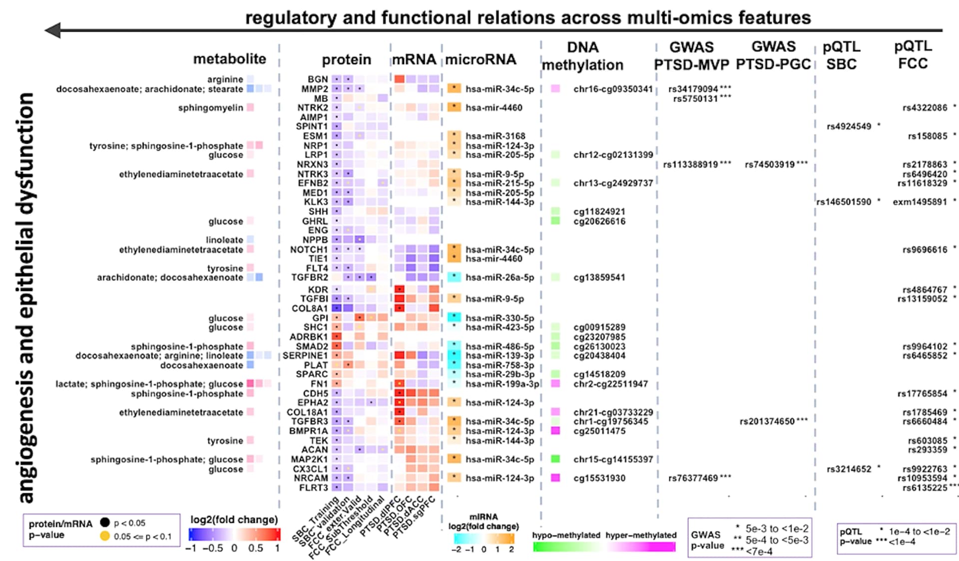 Open access visualization of Heatmap, Clustered, Differentially Expressed Proteins, PTSD Cohorts, Impaired Angiogenesis