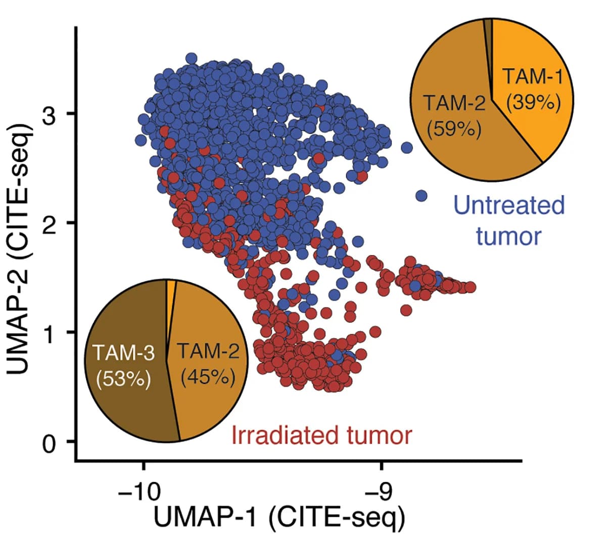 Open access visualization of UMAP, Scatter Plot, Pie Chart, UMAP projection, Tumor-infiltrating TAMs