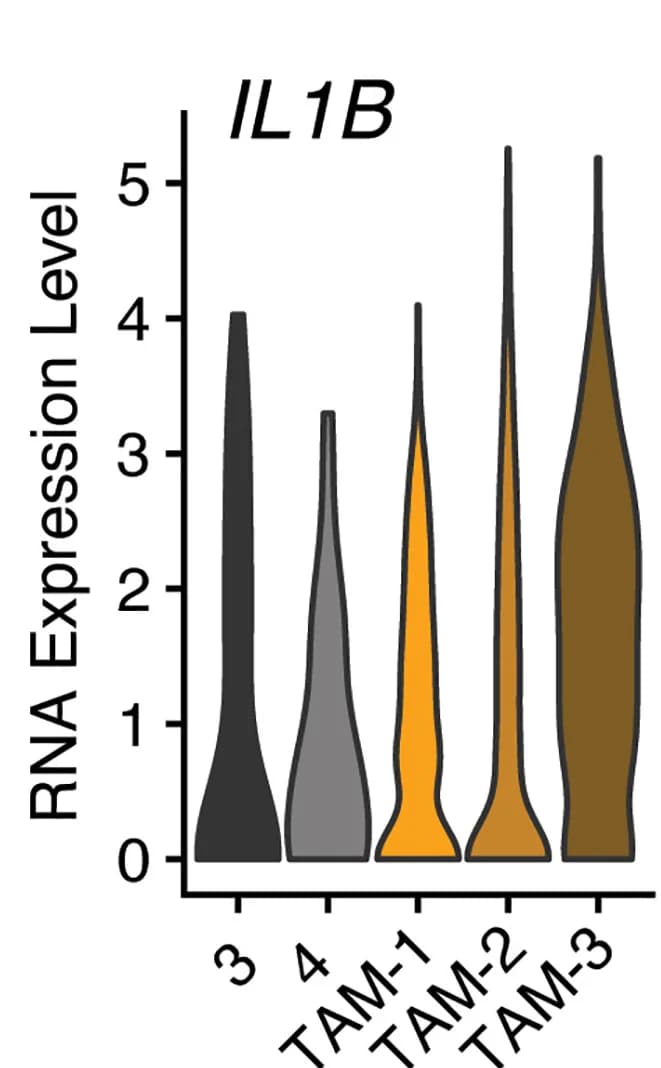 Open access visualization of Violin Plot, Monocyte activation, Genes, IL1B, NLRP3