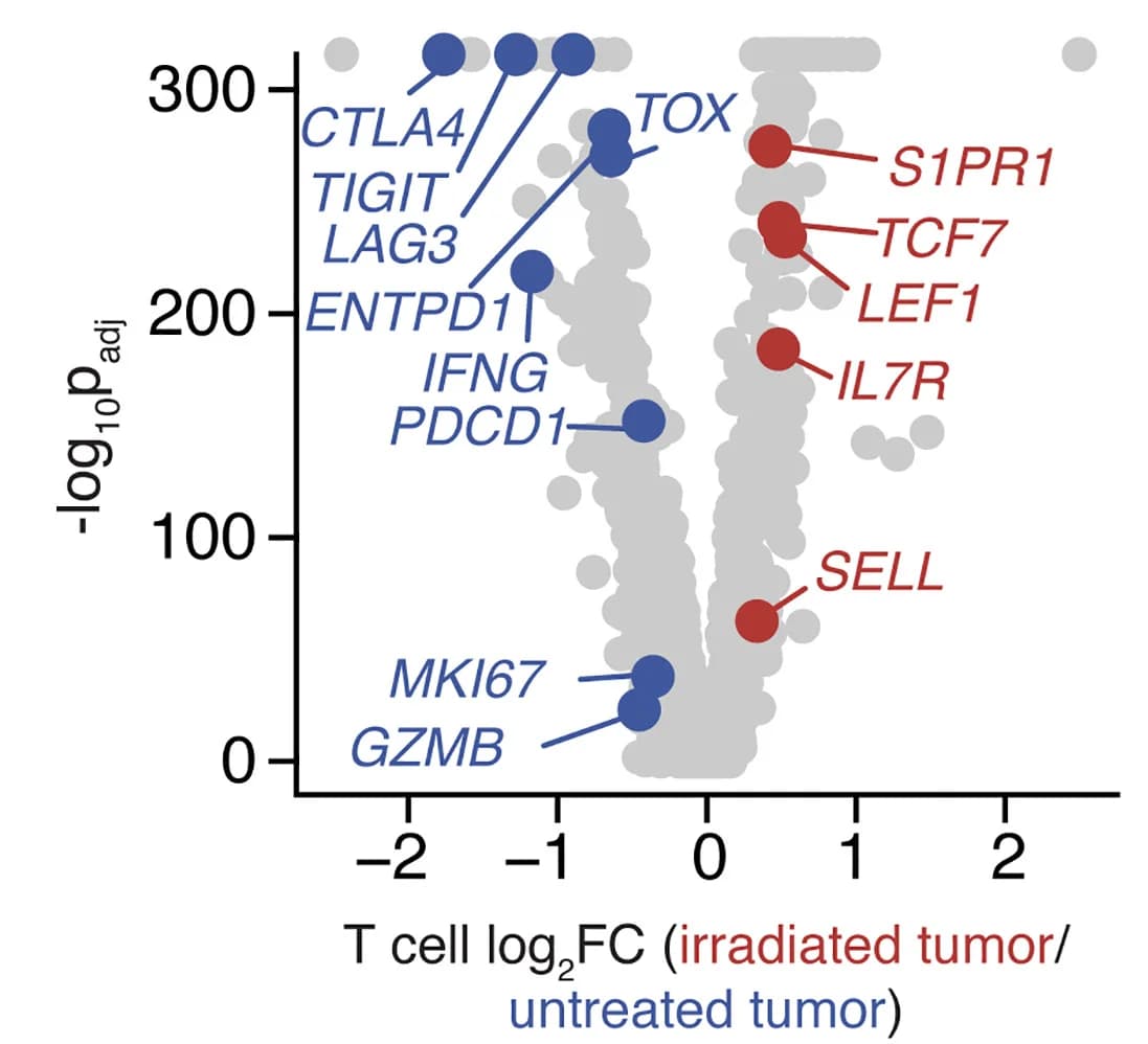 Open access visualization of Volcano Plot, Scatter Plot, Gene Expression, T Cells, Irradiated Tumors