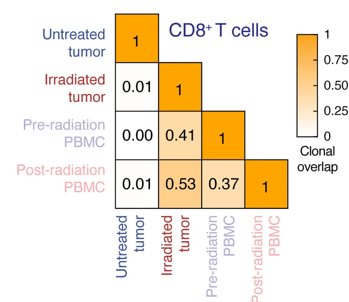 Open access visualization of Heatmap, Clonal Overlap, Morisita-Horn Index, T Cell Receptor Sequences, CD8+ T Cells