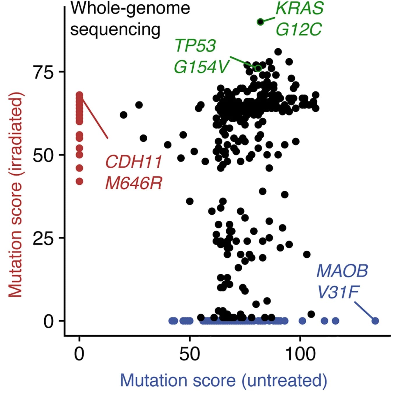Open access visualization of Scatter Plot, Mutation quality, Tumor, Single-nucleotide variants, PBMC