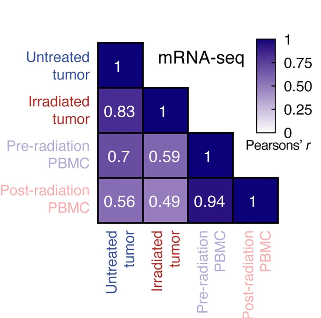 Open access visualization of Heatmap, Gene expression, mRNA sequencing
