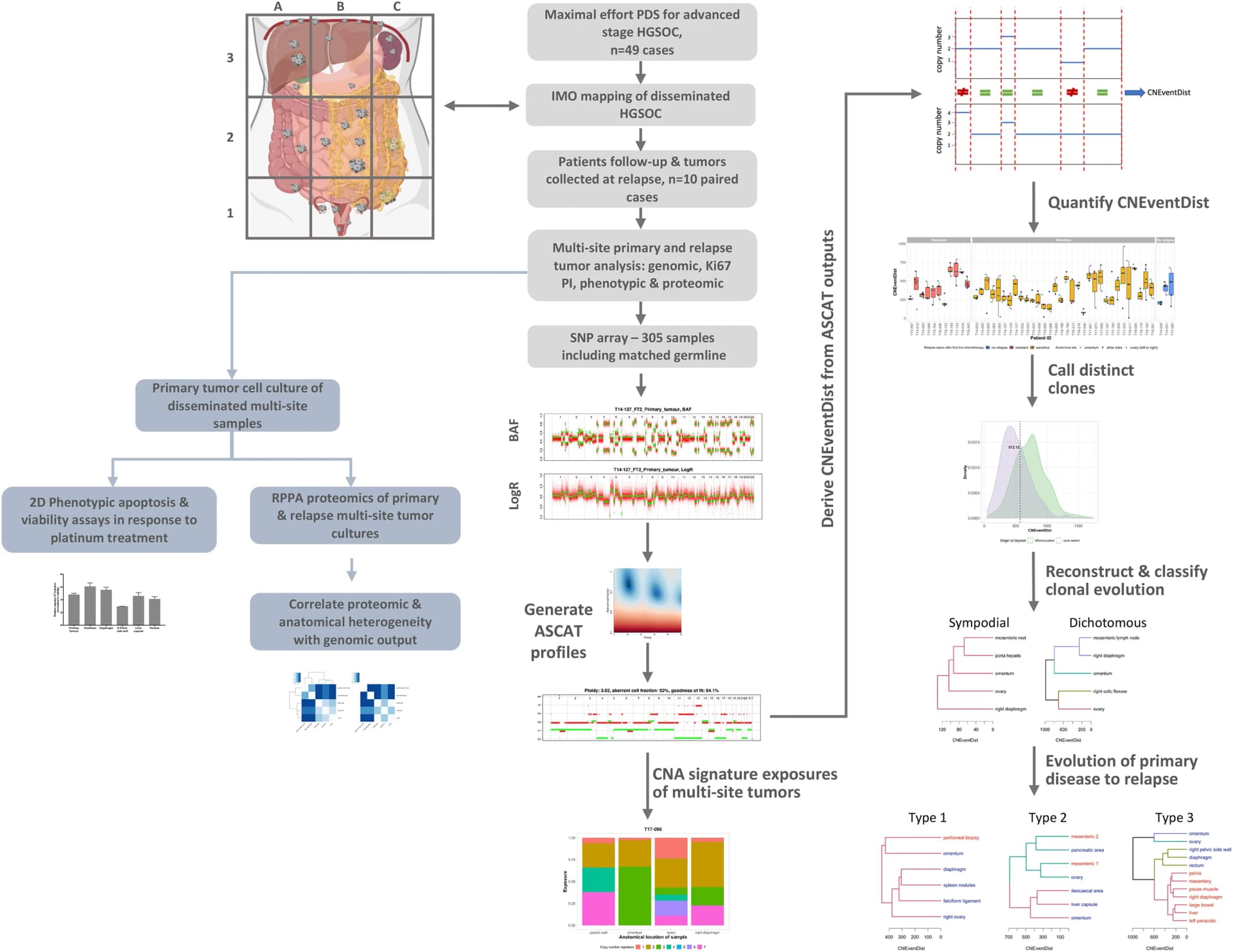 Open access visualization of Workflow, Bar Plot, Box Plot, Line Plot, Density Plot