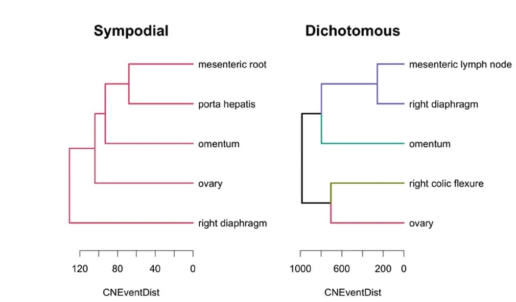 Open access visualization of Workflow, Flowchart, Illustration, Tumor Evolution, Clustering Patterns