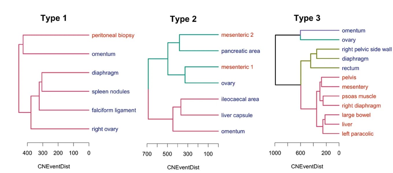 Open access visualization of Line Plot, Line Step, Tumor Evolution, Clustering Patterns, Relapse Samples