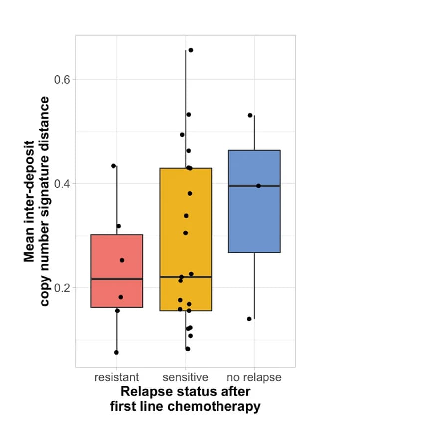 Open access visualization of Box Plot, Scatter Plot, Copy-Number Signature, Heterogeneity, Boxplot
