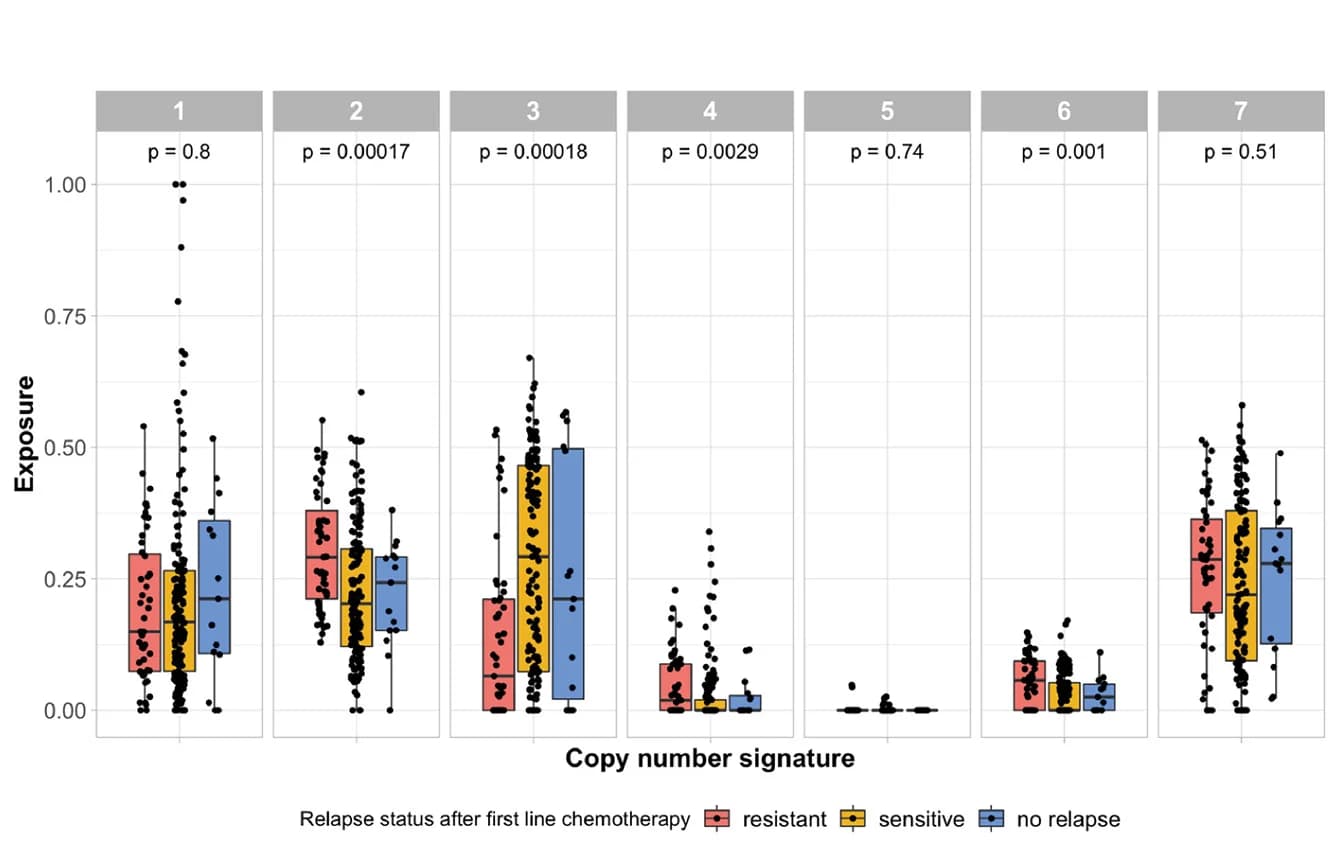Open access visualization of Box Plot, Scatter Plot, Raincloud Plot, HGSOC, Copy-Number Signature