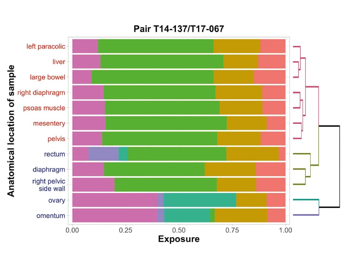 Open access visualization of Stacked Bar Plot, Clustered, Tumor Evolution, Mutational Processes, Copy-Number Signature